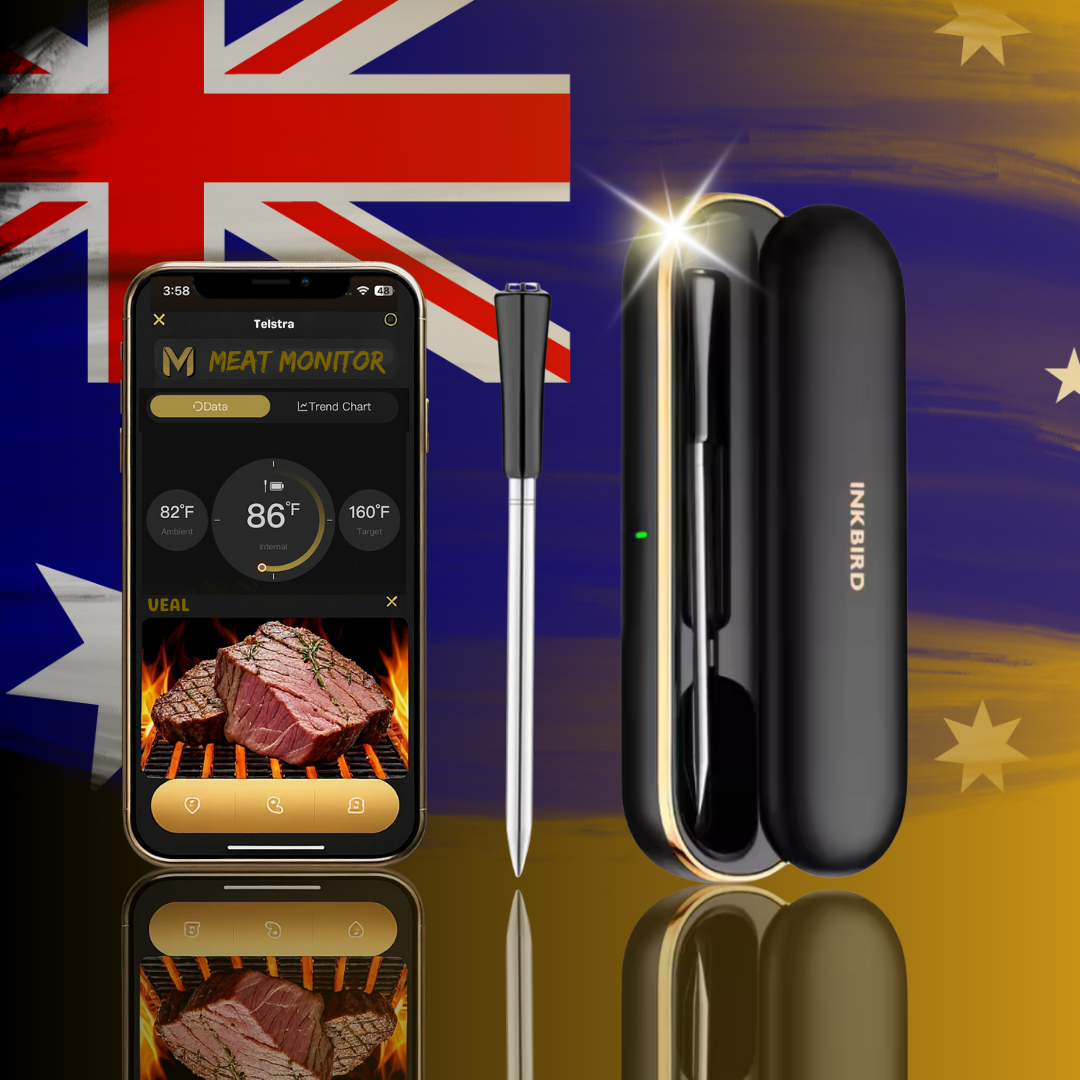 'SOLO PRO' 1 Probe AI Bluetooth® Wi-Fi Wireless Meat Thermometer